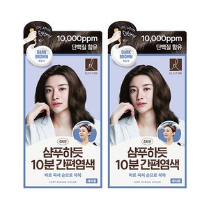 엘라스틴 샴푸하듯 10분 간편염색 80G 흑갈색 X 2, 2개