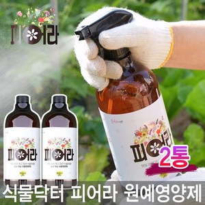 식물닥터 피어라 원예영양제 화초 고급 식물 영양제, 2개, 1L