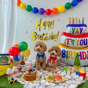 강아지 고양이 생일 파티 파티용품 생일상, 레인보우 케이크 풍선세트