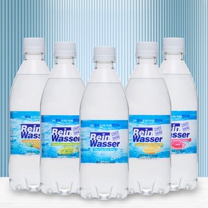 라인바싸 플레인 탄산수, 500ml, 80개