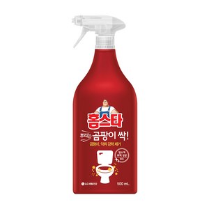 홈스타 뿌리는 곰팡이 싹 세정제, 500ml, 1개
