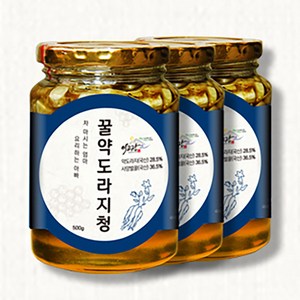 국내산 도라지로 만든 꿀 약도라지청 500g, 1개