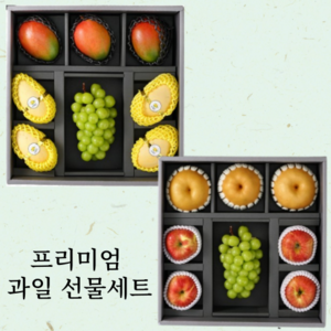 [신선하루] 프리미엄 종합 과일 선물세트 보자기 포함, 프리미엄 망고 샤인 세트, 1개