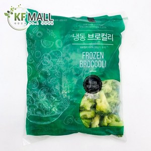 냉동식품 브로콜리 (냉동) 아이스박스 포함, 10개, 1kg