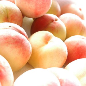 운성농원 백도복숭아 2Kg, 1개, 2kg(1개)