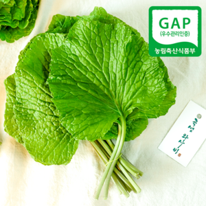 (자연마을) GAP 곡성 고추냉이잎 와사비잎 300g 500g, 1개, GAP 와사비잎 300g