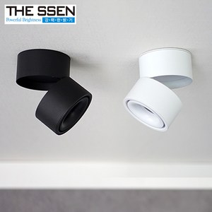 더쎈 로사 LED 일체형 12W 직부등 벽등 주방조명 인테리어조명_2colo, DS 화이트