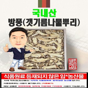 국내산 방풍(갯기름나물뿌리) 300g (경북 영천) 국산, 1개