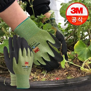 3M 슈퍼터프 프리미엄 라텍스 레져용 장갑 M 4p, 그린, 1세트