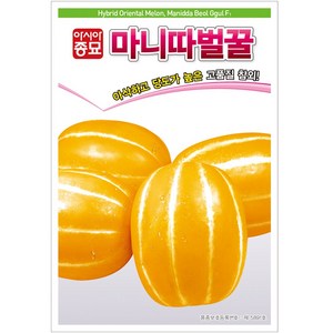 헬프팜 마니따벌꿀 참외 50립 씨앗 종자 아시아종묘, 1개