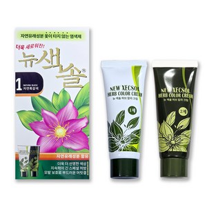 색솔 웰빙 칼라 크림 염색제 70g, 1호(자연흑갈색), 1개