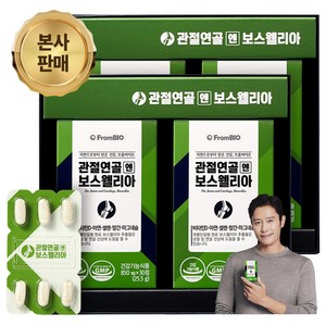 [본사기획 세트]프롬바이오 이병헌의 관절연골엔 보스웰리아 개별인정형 비타민D 마그네슘 망간 아연 1일 섭취량 100%, 2세트, 60정