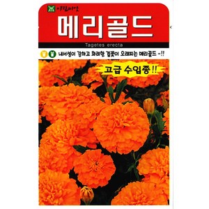 솔림텃밭몰 메리골드씨앗 20립 꽃씨앗 꽃씨 메리골드 오렌지색, 1개