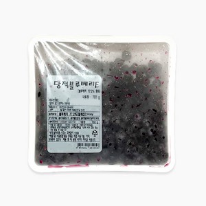 선인 당적 블루베리 냉동 750g, 750g[아이스박스포함], 1개