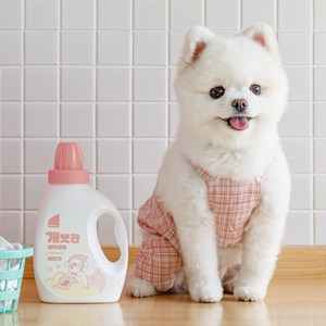 뽀숑 개끗한 세탁세제 650g 강아지 고양이 반려동물 전용 세탁세제 펫 세제, 1개
