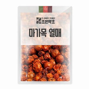 굿허브 마가목열매(정공실) 300g, 1개