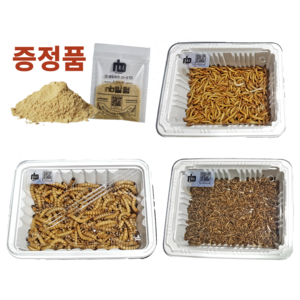 [특별행사] nb밀웜 살아있는 밀웜 - 일반밀웜 슈퍼밀웜 버팔로웜, 1.일반밀웜, 대(2.5cm 전후), 100+100마리, 1개