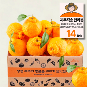 제주농원 14Bix 당도선별 한라봉 가정용, 1박스, 3kg(15과 내외)