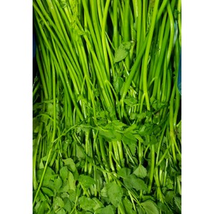 알뜰농장 국내산 싱싱 돌 미나리 작업 배송 최상품 1kg/4kg내외, 4kg, 1개