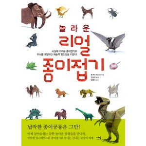 놀라운 리얼 종이접기:사실에 가까운 종이접기로 두뇌를 계발하고 예술적 창조성을 키운다!, 에밀, 후쿠이 히사오