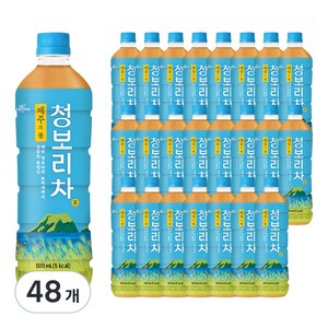 쟈뎅 제주의 봄 청보리차, 500ml, 48개