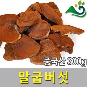 청명약초 말굽버섯(300g)-중국산, 300g, 1, 1개