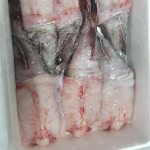 (전우수산) 국내산 생아귀 순살아귀 아귀간 아귀대창 아귀 아구 아구찜 아귀찜, 2. 꼬릿살아귀(1kg), 1개