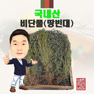 국내산 비단풀(땅빈대) 300g (경북 영천) 국산, 1개