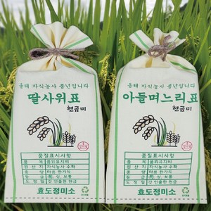 흥작가 쌀포대 용돈봉투 자식농사 풍년 생일 생신 설날 추석 어버이날 부모님 용돈이벤트, 올해자식농사풍년입니다, 아들며느리표, 황색_벼모양 쌀포대, 1개
