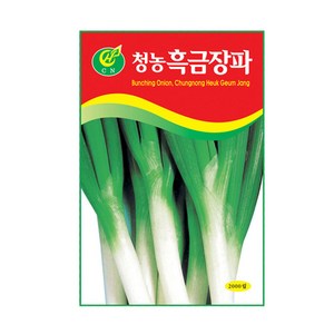 청농 흑금장 대파씨앗 2000립 대파씨 종자 키우기, 1개