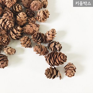 솔방울 미니 100g (약70개입) 작은솔방울 자연솔방울