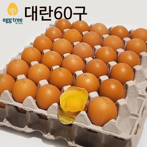 [오늘낳은 달걀] HACCP농가 에그트리 생계란 대란, 60구, 1개