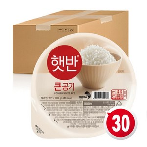 햇반 큰공기, 300g, 30개