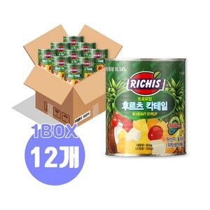 (주)동서 리치스 트로피칼 후르츠 칵테일, 850g, 12개