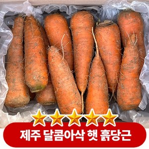 판매1위 달콤한 제주 구좌 햇 흙당근, 1박스, 3kg(중-10~17cm)