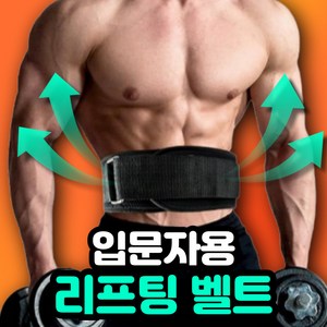 새라주미 헬스 허리 보호대 리프팅 복압 벨트, 블랙, 250g