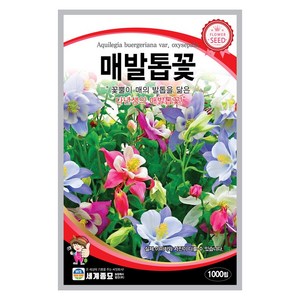 모칸도 (무배)세계 매발톱꽃 꽃씨 (1000립), 1개