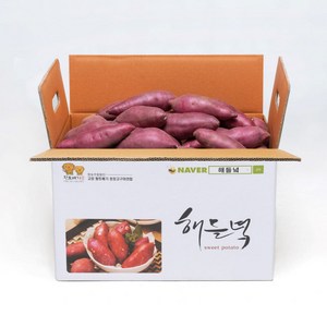 못난이 해들녘 고창 무농약 세척 꿀 고구마 5kg 10kg (왕/특/상/중), 1개, 해들녘고구마 5kg (중 못난이)