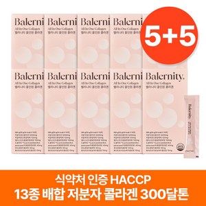 밸러니티 올인원 액상 저분자 콜라겐 300달톤 엘라스틴 히알루론산 뮤신 알로에 비라이트 13성분 20g X 14포 10박스, 280g, 10개