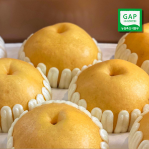 과일촌아재 나주 배 가정용 선물세트, 1박스, 선물용 특대과 15kg