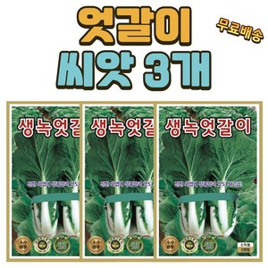 엇갈이 씨앗 3개 (2000립x3) 얼갈이 씨앗 씨 종자