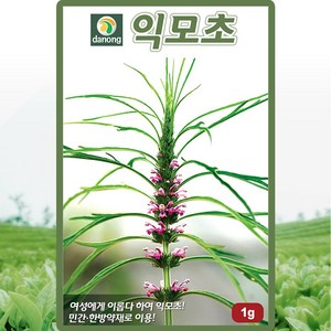 다농 익모초 씨앗 1g 육모초 씨 한방 약재 약초 종자, 1개