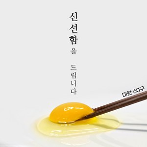 파머스테이블 HACCP 무항생제 신선한 계란 대란, 1개, 60구