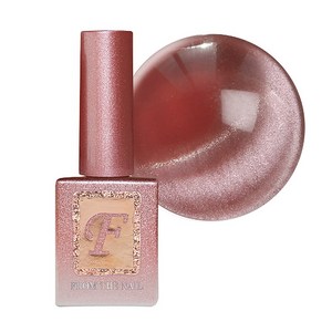 프롬더네일 세피아 9종 단품 택1 자석글리터젤, 1개, 10g, FG221