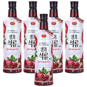 광야식품 생기석류 베이스 970ml, 5개