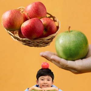 저탄소 일반사과 껍질째 먹는 못난이 흠과, 2kg 꼬마, GAP인증 일반 사과, 1개