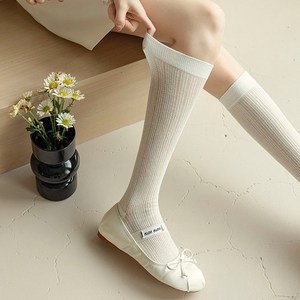 시스루 레이스 잔골지 니삭스 2족 메쉬 반스타킹 여름 롱 무릎양말