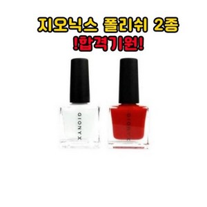 지오닉스 프로페셔널 네일래커 시험용, 합격기원 지오닉스 세트, 17ml, 1개