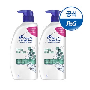 헤드앤숄더 가려운 두피 케어 샴푸, 850ml, 2개