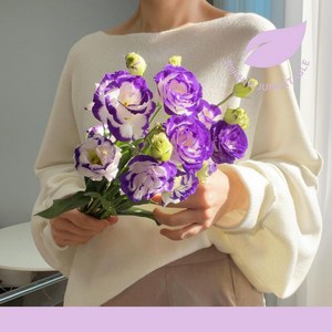 리시안셔스 1+1 생화 꽃다발 택배 분홍빛 하얀빛 보라빛 반단, 1개